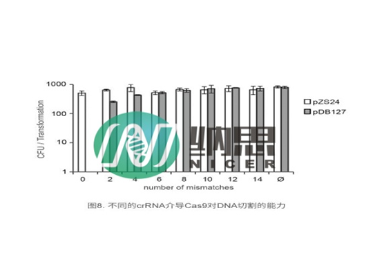 Crispr/Cas9